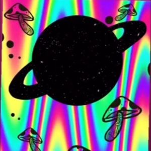 Meet your Posher, Jared